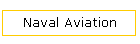 Naval Aviation