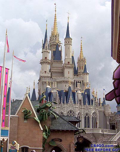 magic kingdom castle florida. magic kingdom castle florida.