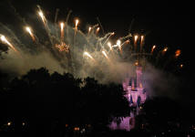 Walt Disney World Castle 4th of July