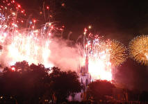 Walt Disney World Castle 4th of July