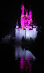 Walt Disney World Castle 4th of July