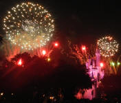 Walt Disney World Castle 4th of July